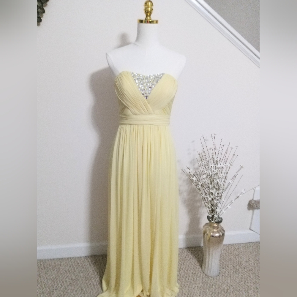 Cache Strapless Formal Dress with Silver Details Size 2